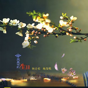 我爱你，中国 (小提琴版)