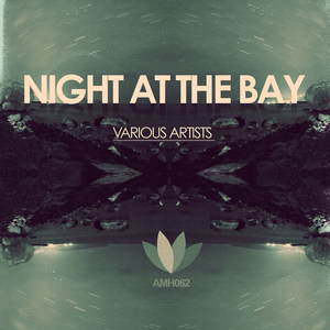 Night at the Bay - VA Compilation