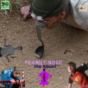 PEANUT NOSE: THE ALBUM 2 (Explicit)