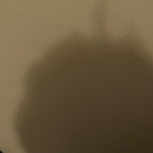 malfunction (Explicit)