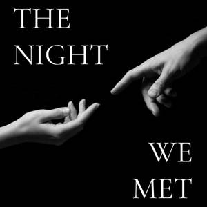 The Night We Met