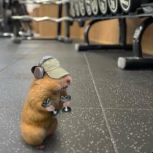 Tak6dwn unreleased (feat. Rakkionz) (Explicit)