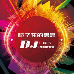 栀子花的思念（DJ阿远2020优化版）