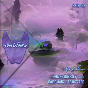 Mysterious Night Train (FRANZZARD Remix)