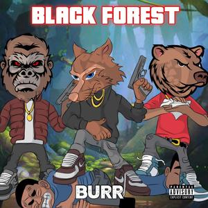 BLACK FOREST (Explicit)