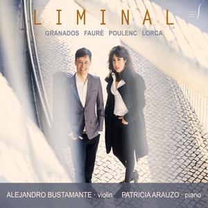 Sonata for violin and piano. Lentamente e con molta fantasia (piano, violin)