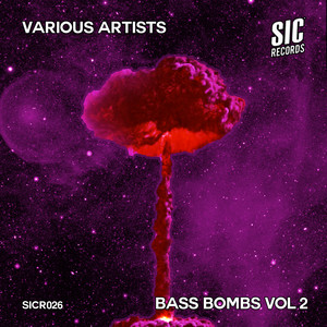 Bass Bombs, Vol. 2 (Explicit)