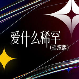 爱 什么稀罕 (摇滚版)封面