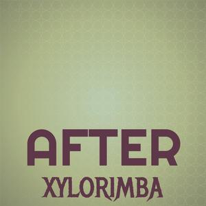 After Xylorimba