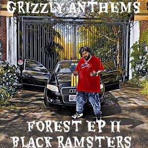 Forest EP: 2 Black Ramsters (Explicit)