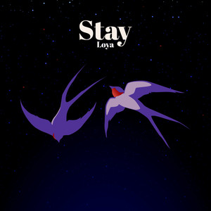 Stay