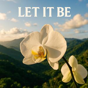 Let it be (Complicated) (Explicit)