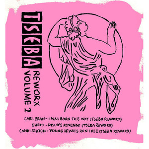 Disco's Revenge (Tseba Revenge Reworx)