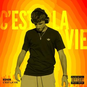 C'EST LA VIE RMX (Explicit)