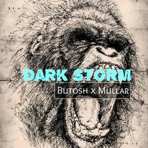 Dark Storm (feat. Mullar)