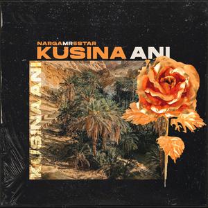 Kusina Ani