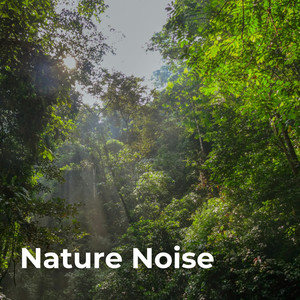 Nature Noise