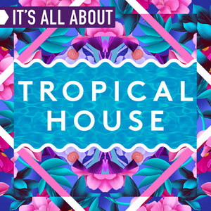 It's All About Tropical House