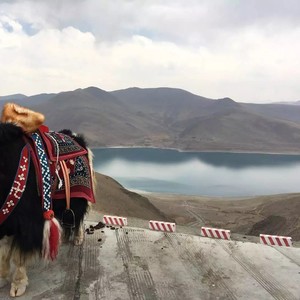 我是一朵小雪花