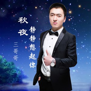 秋夜静静想起你