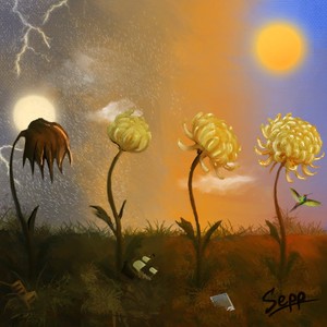 HASTA QUE LO PIERDES