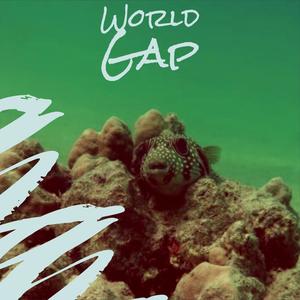 World Gap