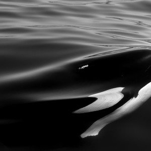 I'm Good (Blue) - Hardstyle (Explicit)