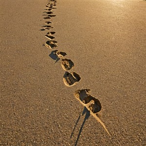 搀扶 (DJ王小龙版)