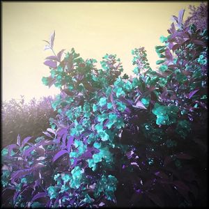 Behind the Smokes 2 (Explicit)