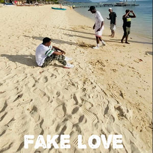 Fake Love