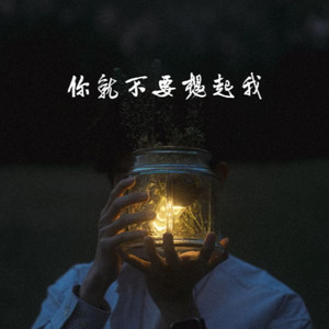 你就不要想起我 (r&b氛围版)