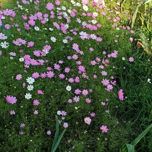 相爱今天来分开