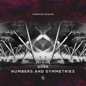 Numbers and Symmetries