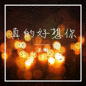 真的好想你