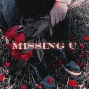 Missing U