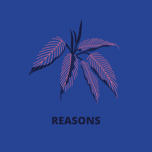 Reasons