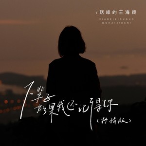 下辈子如果我还记得你 (抒情版)