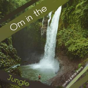 Om in the Jungle