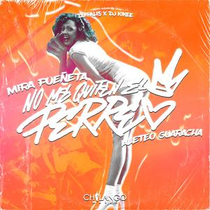 No Me Quiten El Perreo Dj Palis