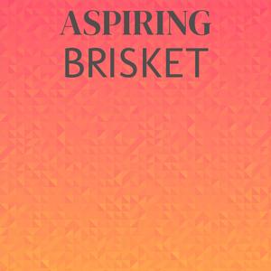 Aspiring Brisket