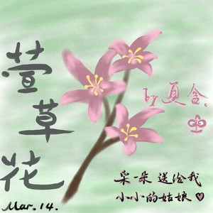 萱草花