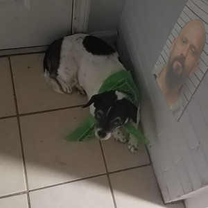 Rosane (feat. Sad Frosty) (Explicit)