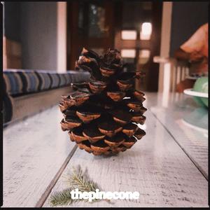 The Pine Cone Tapes