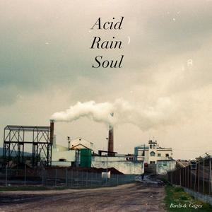Acid Rain Soul