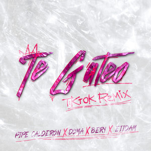 Te Gateo (TikTok Remix)