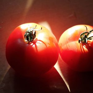 The Prism Amphitheater