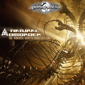 Virtual Notes (Natural Disorder Remix)