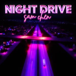 Night Drive (feat. Olya Gram)