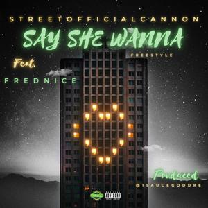 Say She Wanna (freestyle) (feat. FredNice) (Explicit)