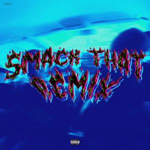 TAK JEĎ (feat. FoxxyL) (SMACK THAT REMIX|Explicit)